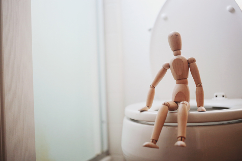 toy on a toilet